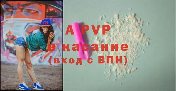 шишки Горняк