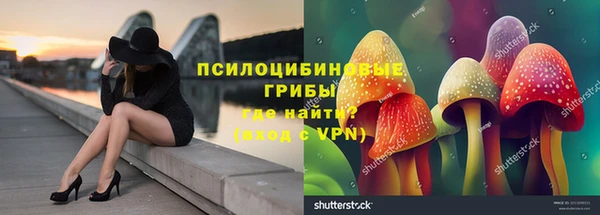 крисы Нязепетровск