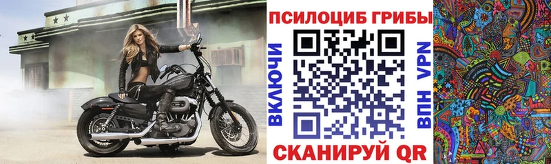 Псилоцибиновые грибы Cubensis  darknet Telegram  Мосальск 